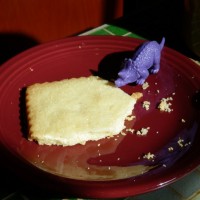 Waterstreet Coffe Joint Purple Dinosaur with Cookie