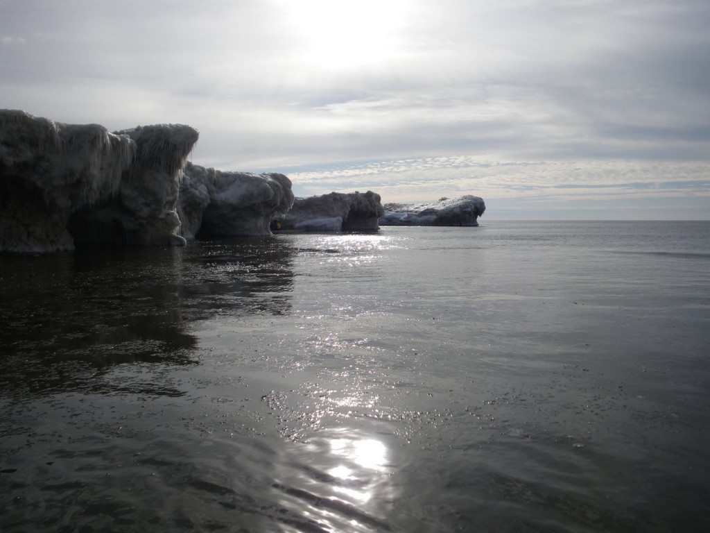 IMGP0398