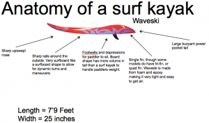 Waveski diagram for surf kayakers
