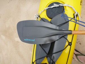 Saltwood Reggie Kayak Paddle Review