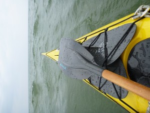 Saltwood Reggie Kayak Paddle 200cm Straight shaft.