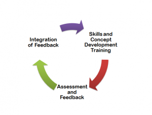 assessment feedback cycle